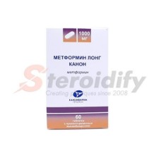 Metformin LONG Kanonpharma